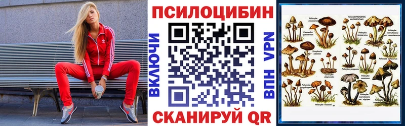 продажа наркотиков  Сосновоборск  это телеграм  Псилоцибиновые грибы мицелий 
